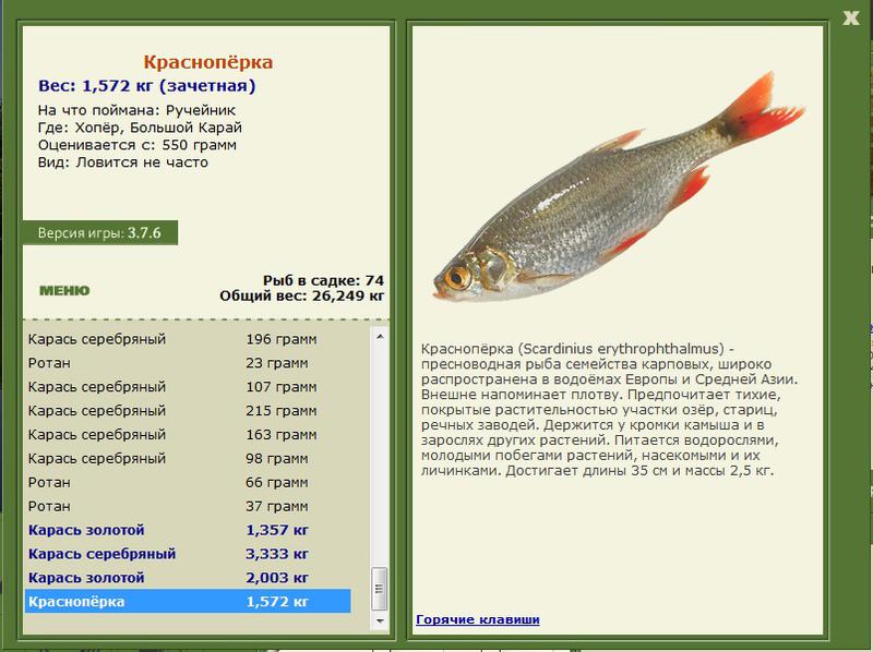 турниры • РУССКАЯ РЫБАЛКА