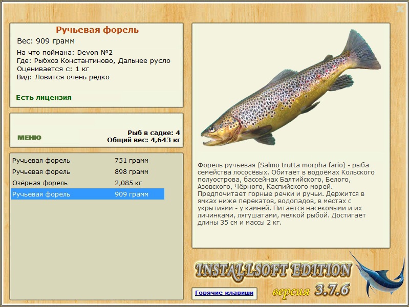 Дальнее русло 
