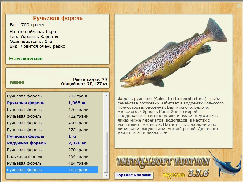 Карпаты 
