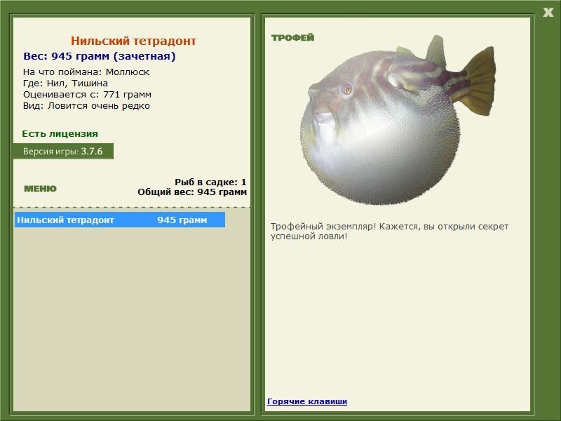Тишина 