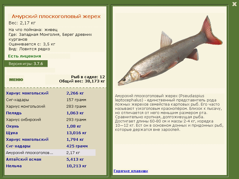 Берег древних курганов 
