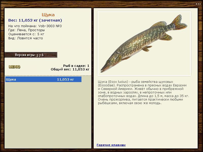 турниры • РУССКАЯ РЫБАЛКА