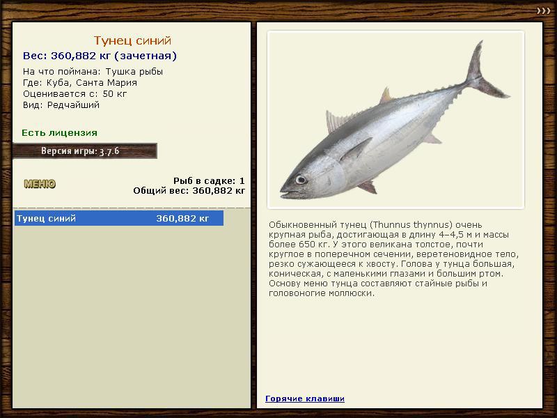 турниры • РУССКАЯ РЫБАЛКА