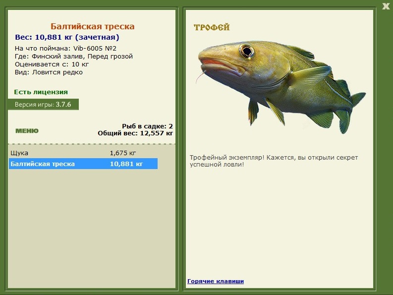Балтийская треска 