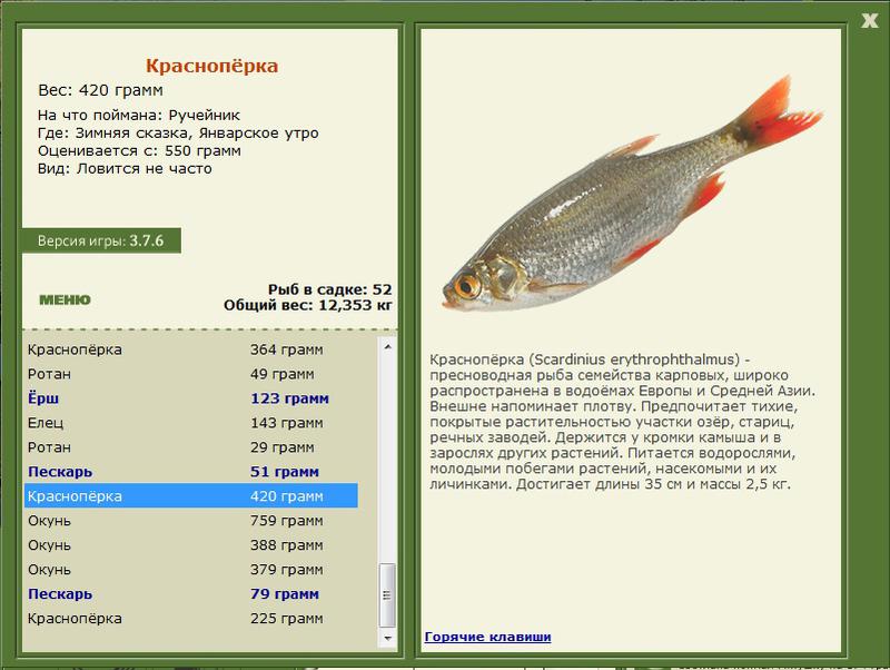 Январское утро 