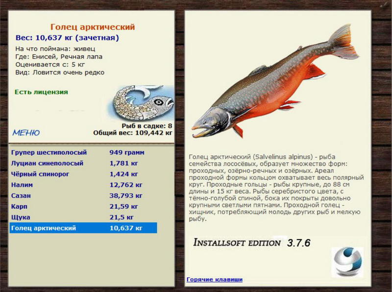 Речная лапа 