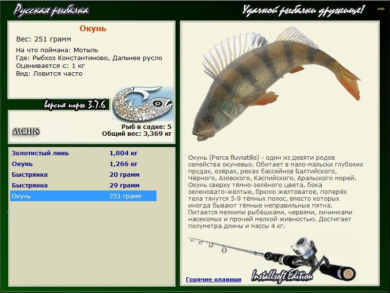 Дальнее русло 