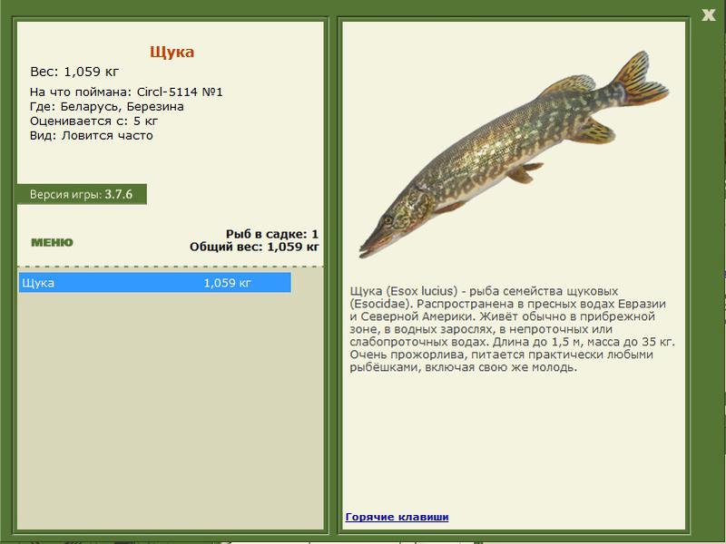 турниры • РУССКАЯ РЫБАЛКА