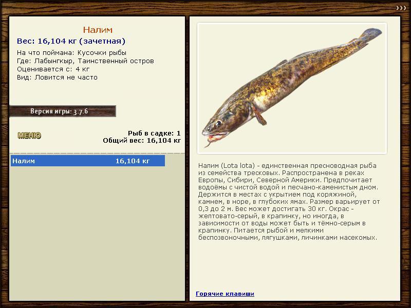 турниры • РУССКАЯ РЫБАЛКА