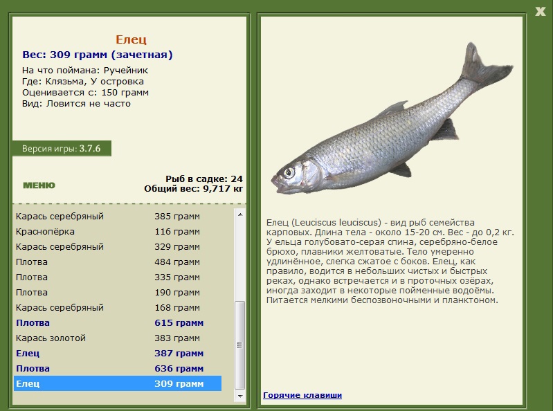 турниры • РУССКАЯ РЫБАЛКА