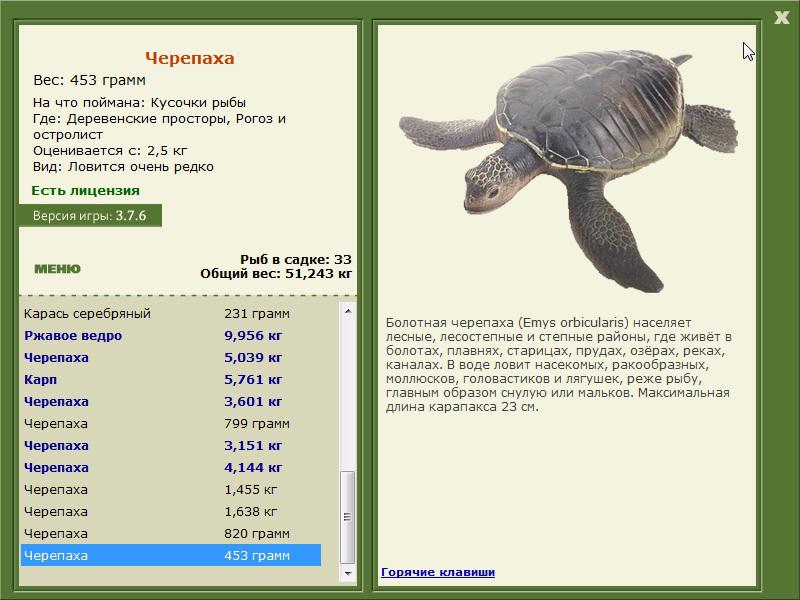 турниры • РУССКАЯ РЫБАЛКА