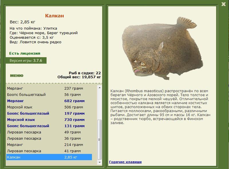 турниры • РУССКАЯ РЫБАЛКА