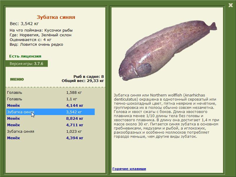 Зелёный склон 