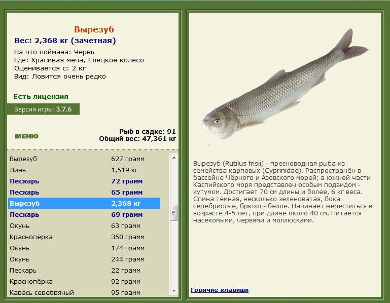 турниры • РУССКАЯ РЫБАЛКА