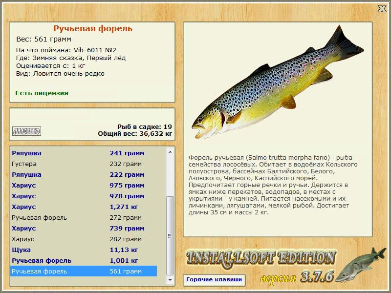 турниры • РУССКАЯ РЫБАЛКА