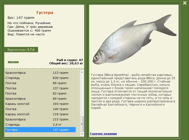 турниры • РУССКАЯ РЫБАЛКА