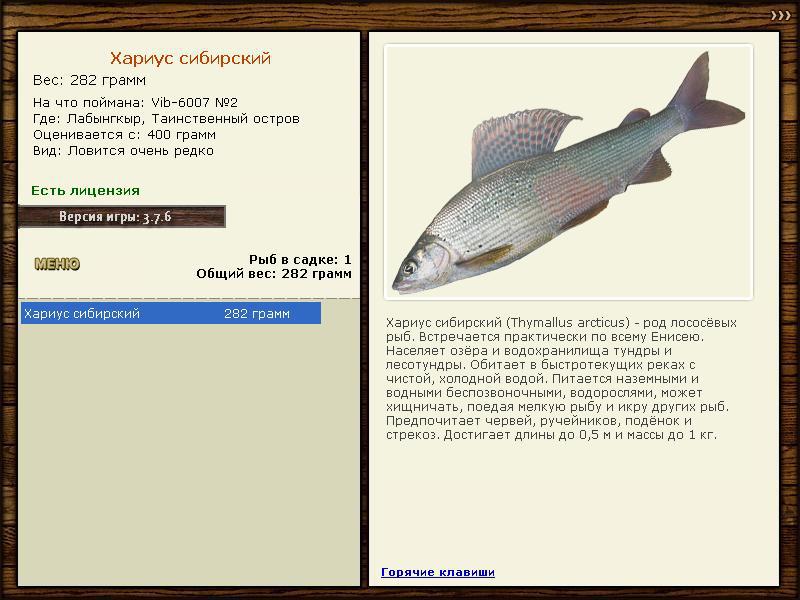 турниры • РУССКАЯ РЫБАЛКА