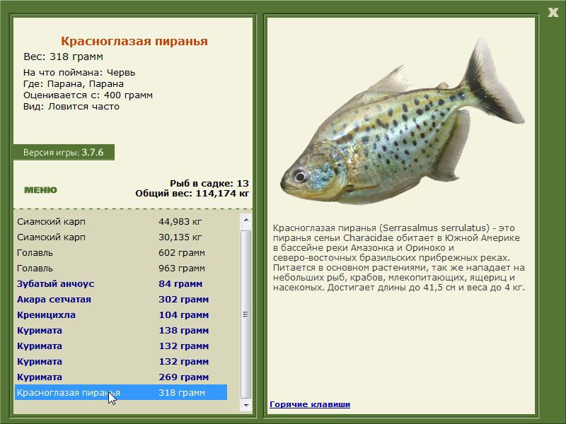турниры • РУССКАЯ РЫБАЛКА