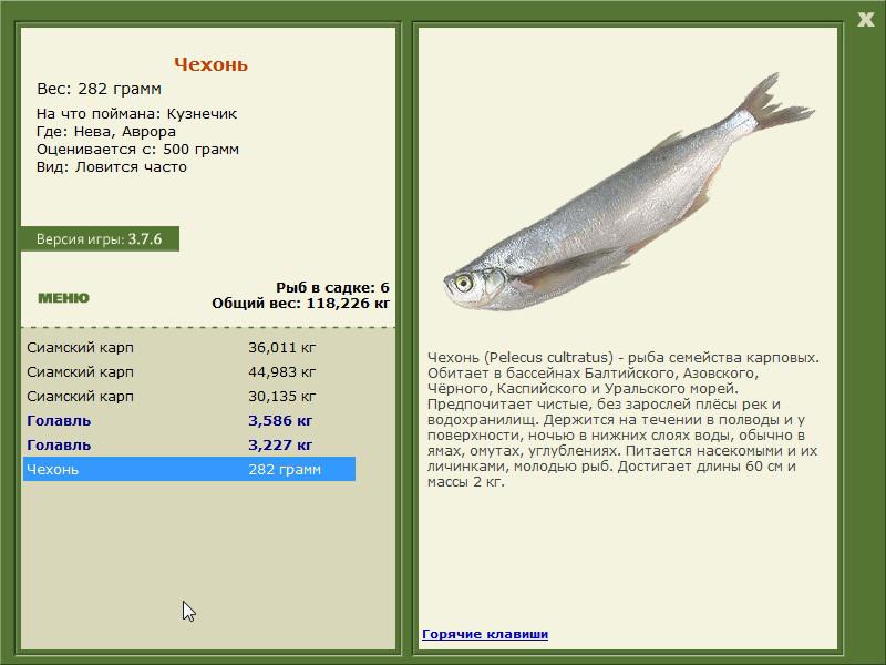 турниры • РУССКАЯ РЫБАЛКА