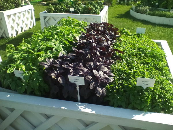 День открытых дверей в ЕТК