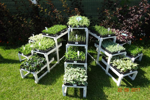 День открытых дверей в ЕТК