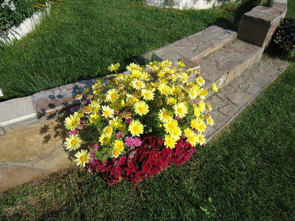 День открытых дверей в ЕТК