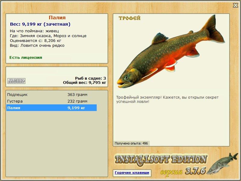 Мороз и солнце 