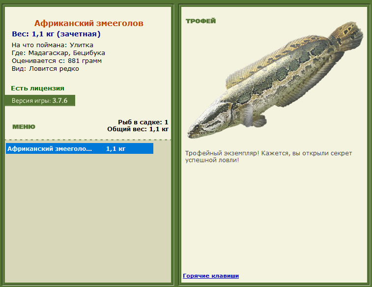Африканский змееголов 