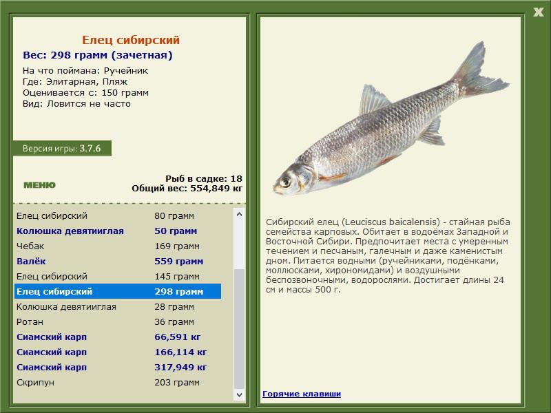 Пляж 