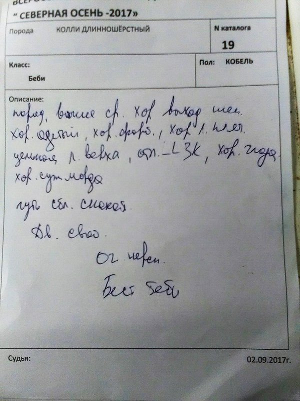 Изображение