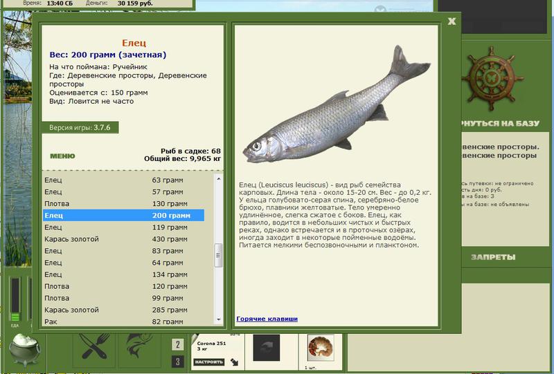 Елец 