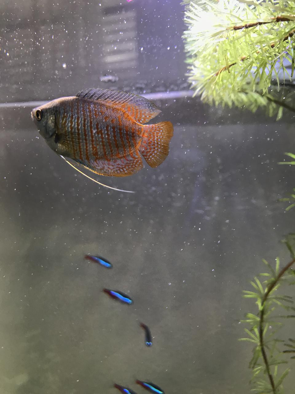  Начать новую тему