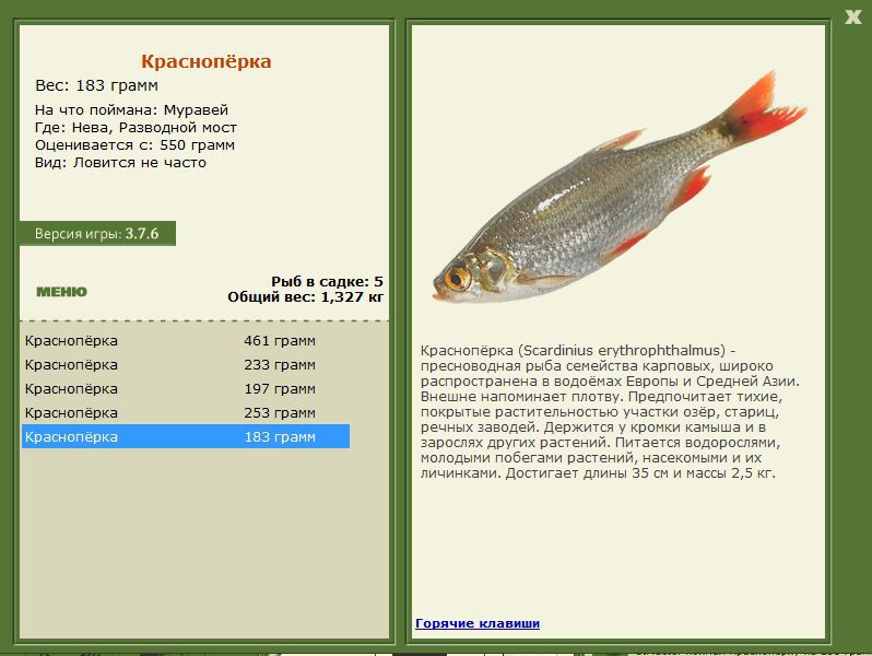 РУССКАЯ РЫБАЛКА Installsoft Edition 