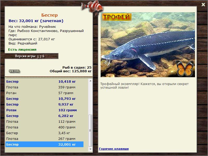 Бестер 