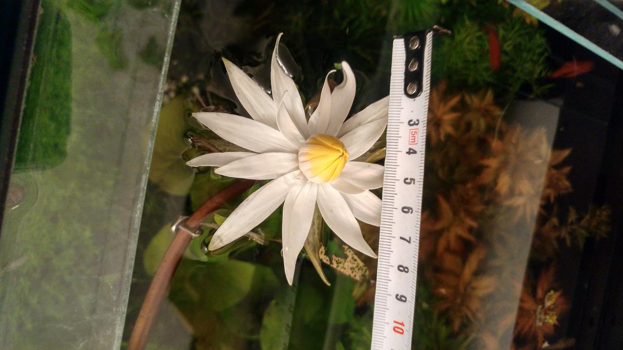  Начать новую тему