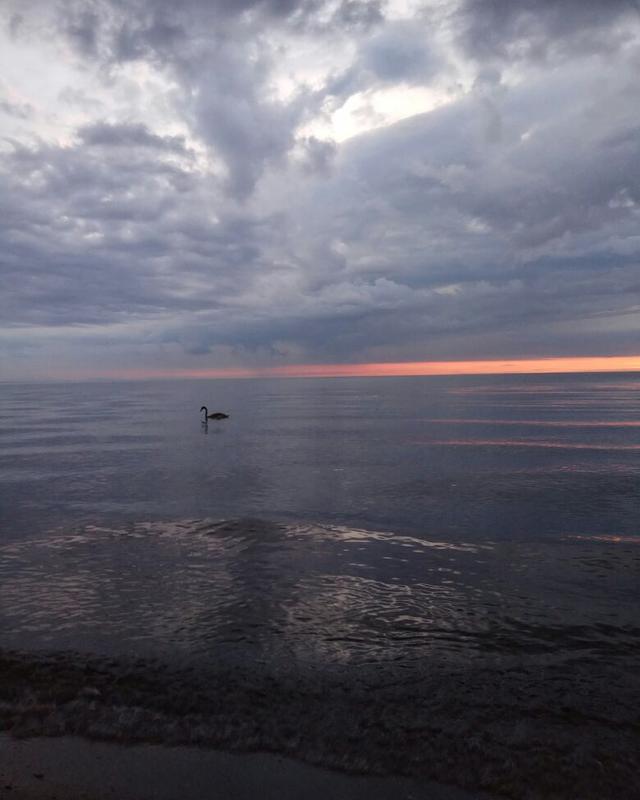  Страница 141 - Форум \\