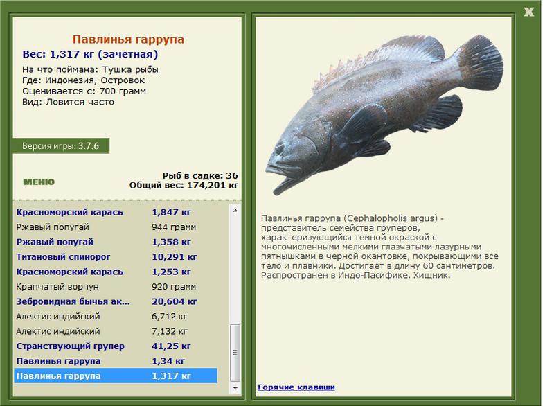 турниры • РУССКАЯ РЫБАЛКА