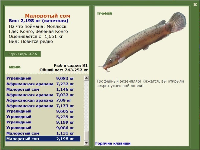 Моллюск 