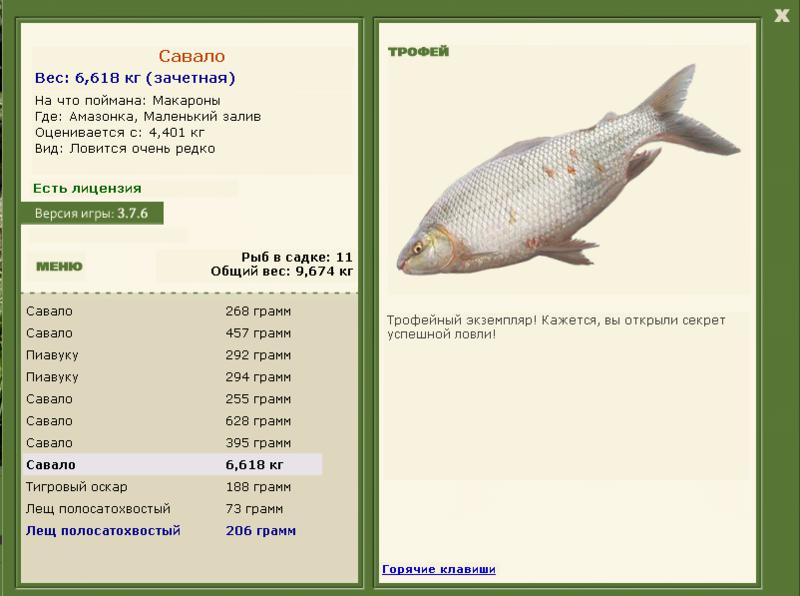 Савало 