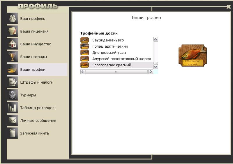 Флай 