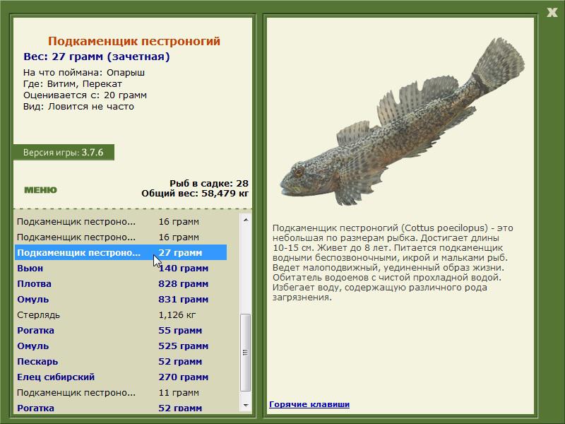 Перекат 