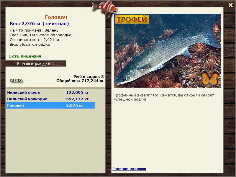 Головач 