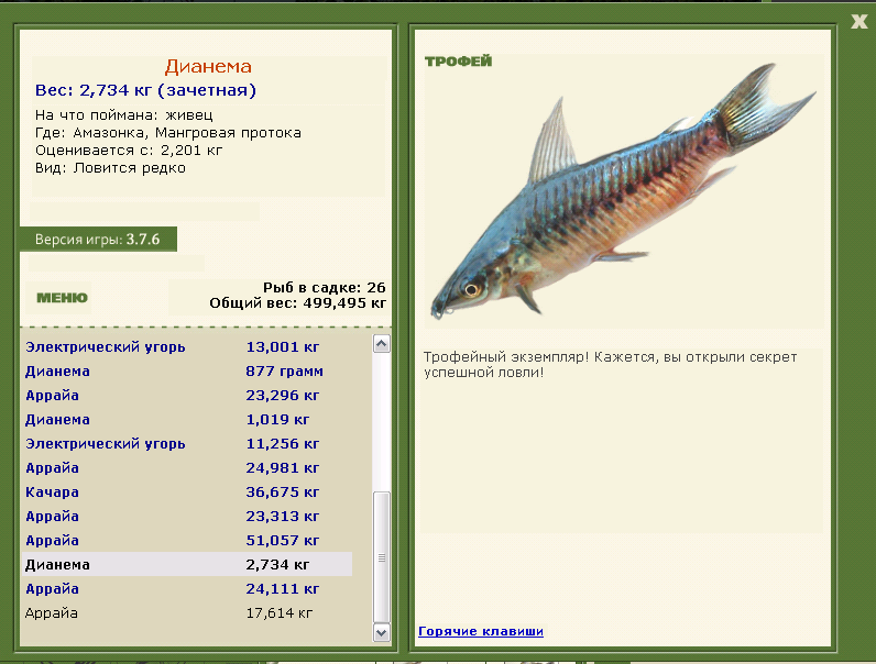 Дианема 