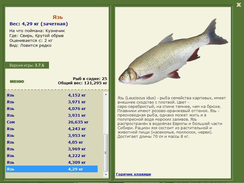 РУССКАЯ РЫБАЛКА Installsoft Edition 
