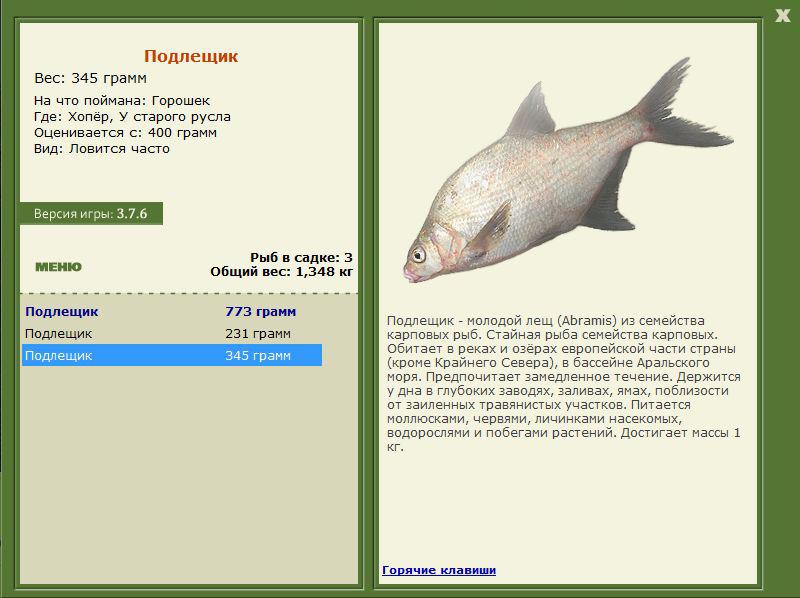 РУССКАЯ РЫБАЛКА Installsoft Edition 