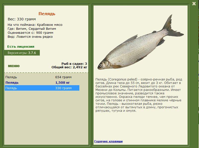 РУССКАЯ РЫБАЛКА Installsoft Edition 