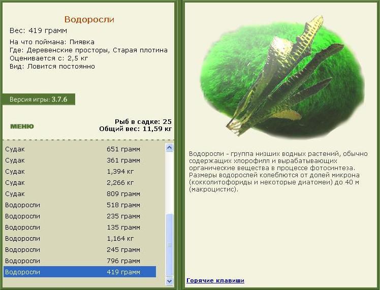 Старая плотина 