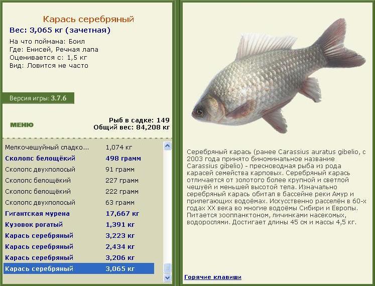 Речная лапа 