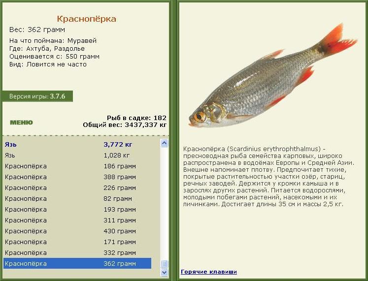 Раздолье 