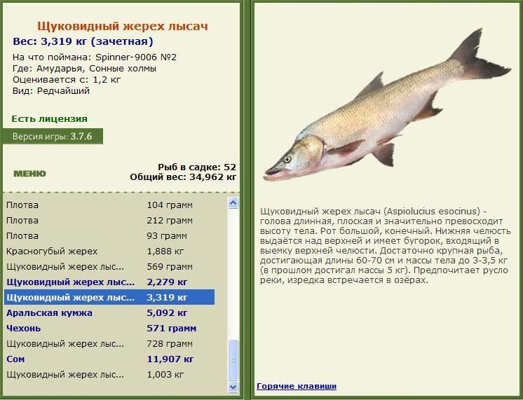Сонные холмы 